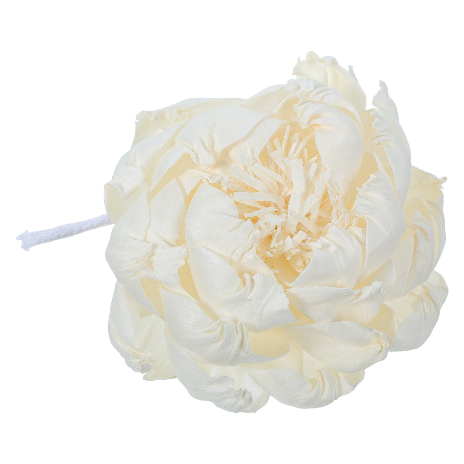 Aroma Diffuser Flower for Home - Home Decor Essentials 评论和价格